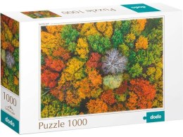 PUZZLE WIOSKA DZEMRONIA UKRAINA 1000 ELEMENTÓW DO UŁOŻENIA KOLOROWY OBRAZEK