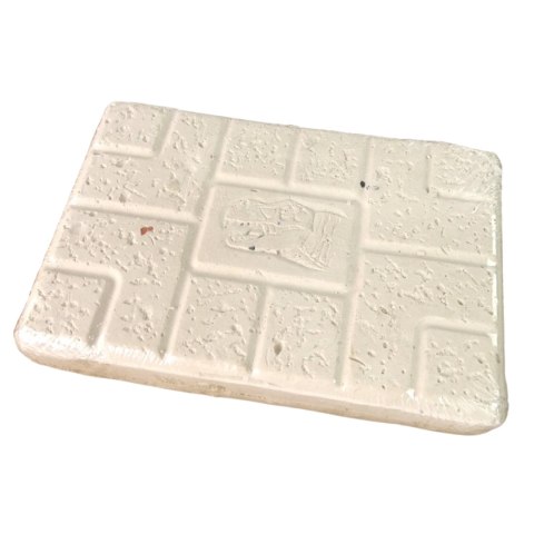 Archaeological excavation brachiosaurus suit