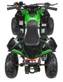 Pojazd Quad Spalinowy RENEGADE HIPERFECT 110CC Zielony