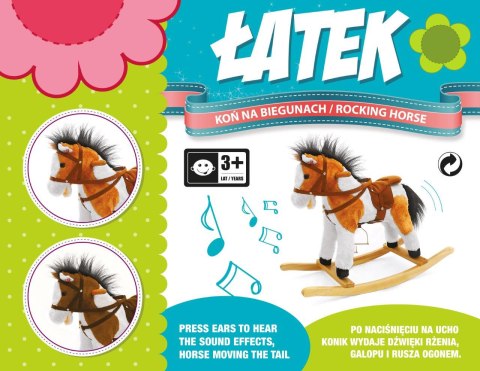 KONIK NA BIEGUNACH KOŃ RŻY GALOPUJE MACHA OGONEM