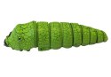 Interaktywna larwa Robak Zielona